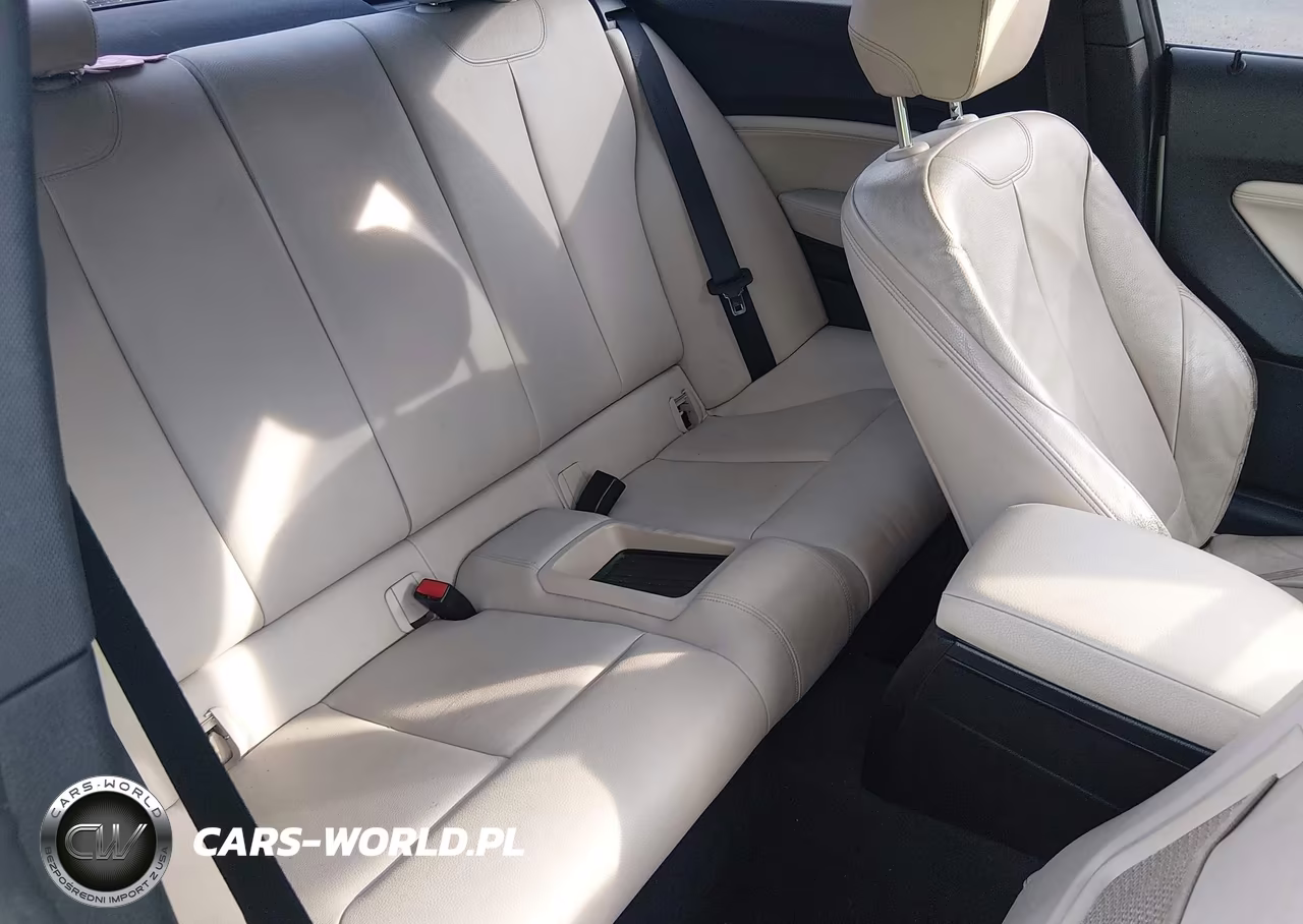 2016 BMW 228I VIN:WBA1F9C54GV545868 - 8