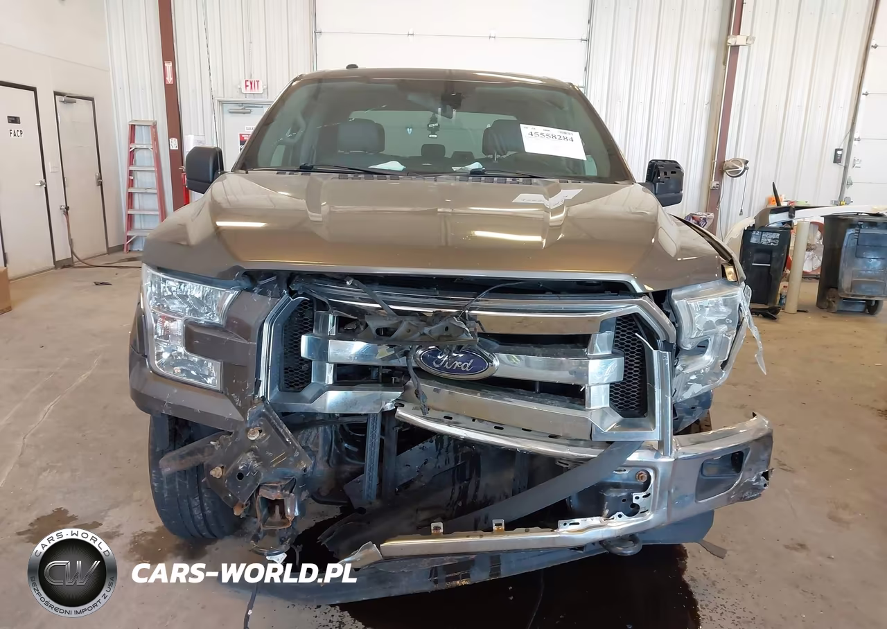 2016 Ford F-150 King Ranch-Lariat-Platinum-Xl-Xlt VIN:1FTEW1EF5GFA15382 - 12