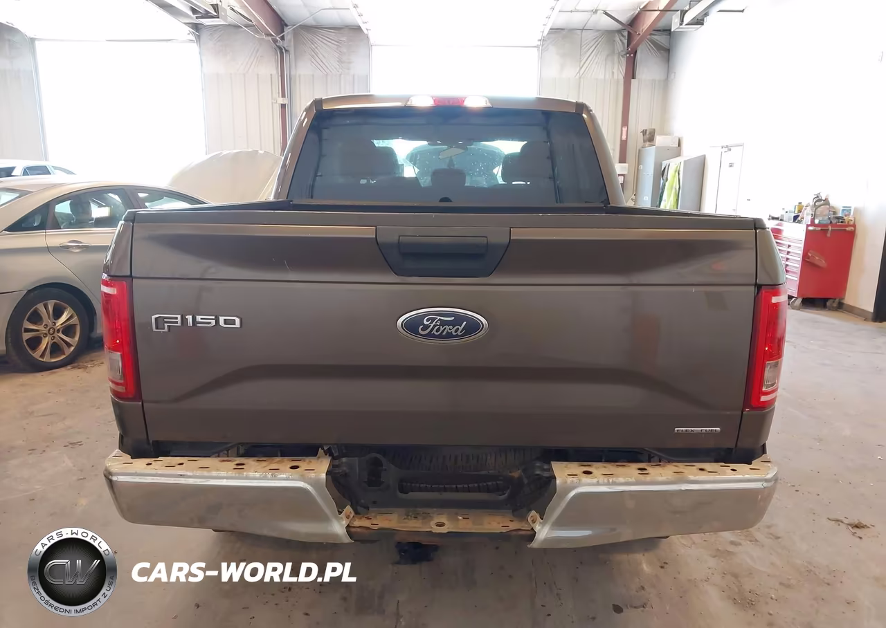 2016 Ford F-150 King Ranch-Lariat-Platinum-Xl-Xlt VIN:1FTEW1EF5GFA15382 - 16