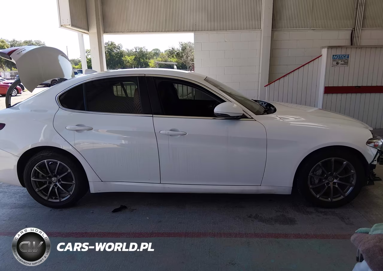 2020 Alfa Romeo Giulia Rwd VIN:ZARFAMAN3L7635904 - 14