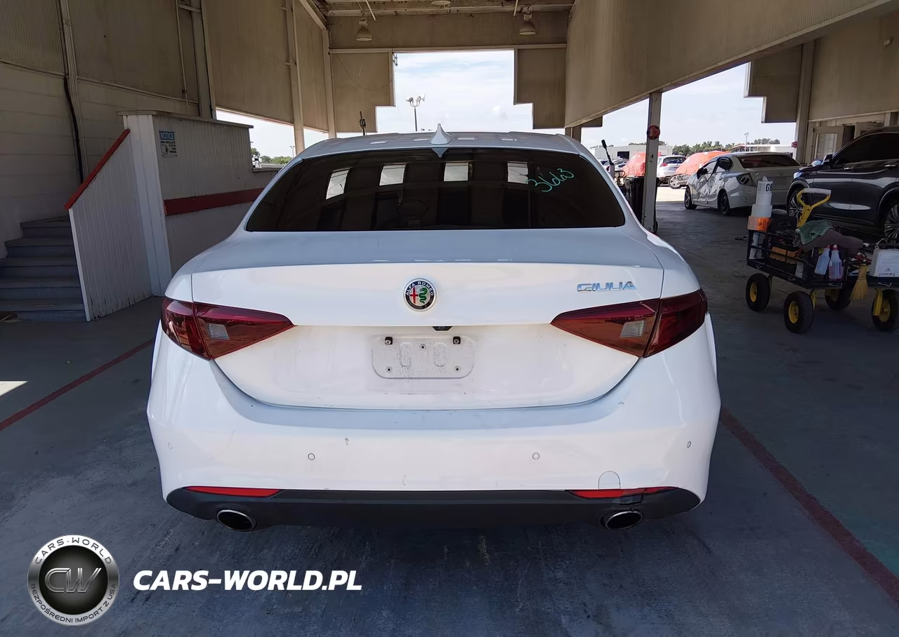2020 Alfa Romeo Giulia Rwd VIN:ZARFAMAN3L7635904 - 17