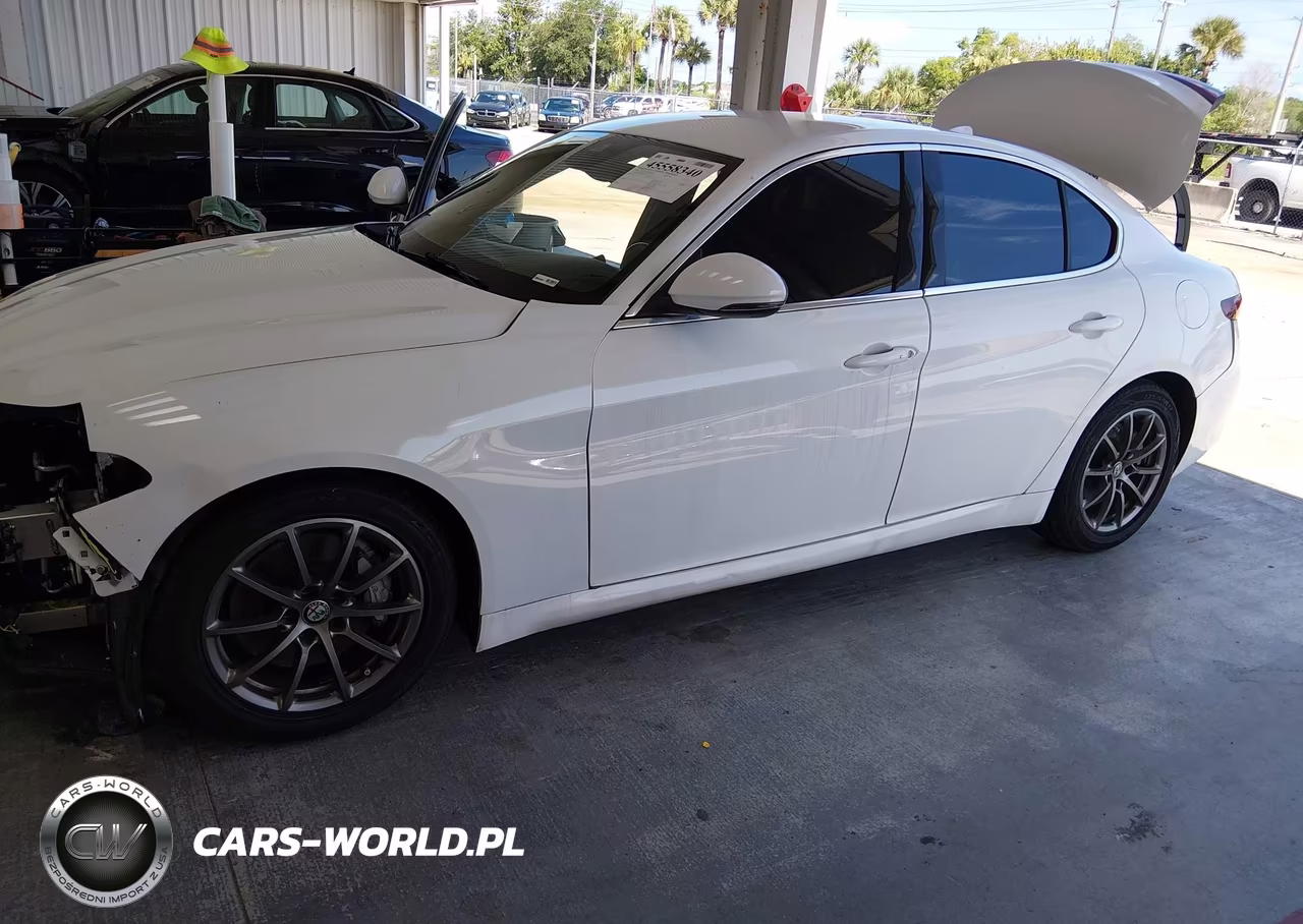 2020 Alfa Romeo Giulia Rwd VIN:ZARFAMAN3L7635904 - 2