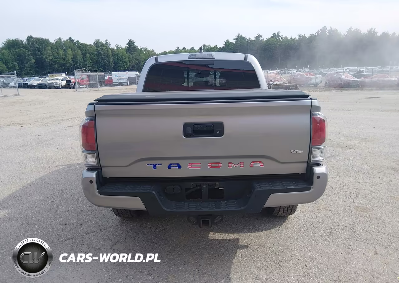 2020 Toyota Tacoma Trd Off-Road VIN:3TMCZ5ANXLM355981 - 17