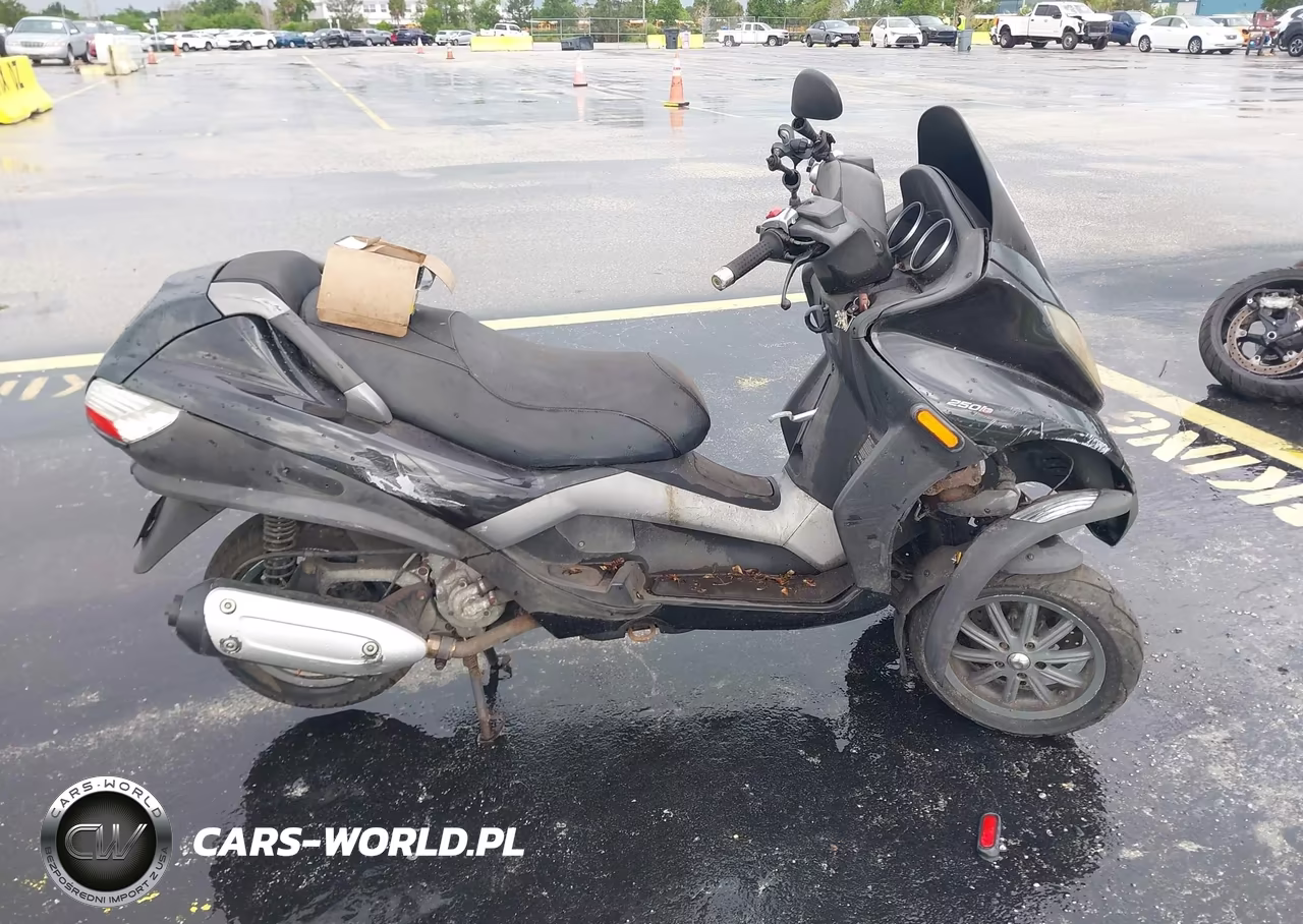 2009 Piaggio Mp3 250 VIN:ZAPM479MX95003622 - 13