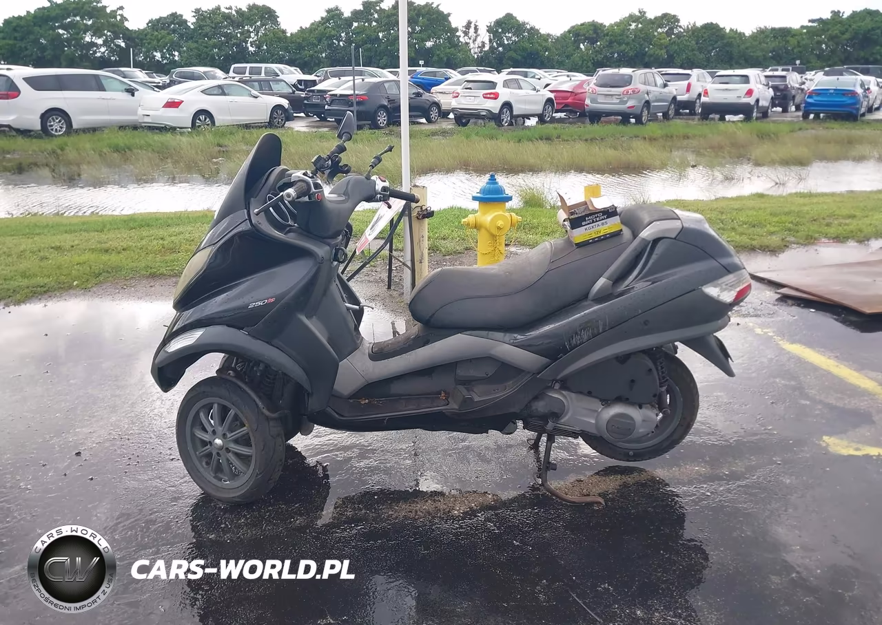 2009 Piaggio Mp3 250 VIN:ZAPM479MX95003622 - 14