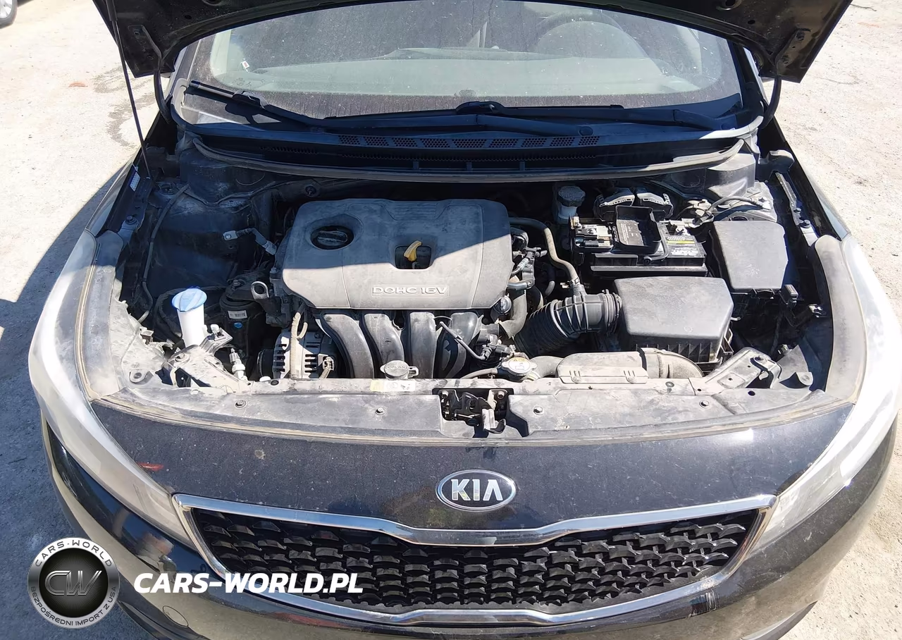 2017 Kia Forte Lx VIN:3KPFK4A79HE059218 - 10