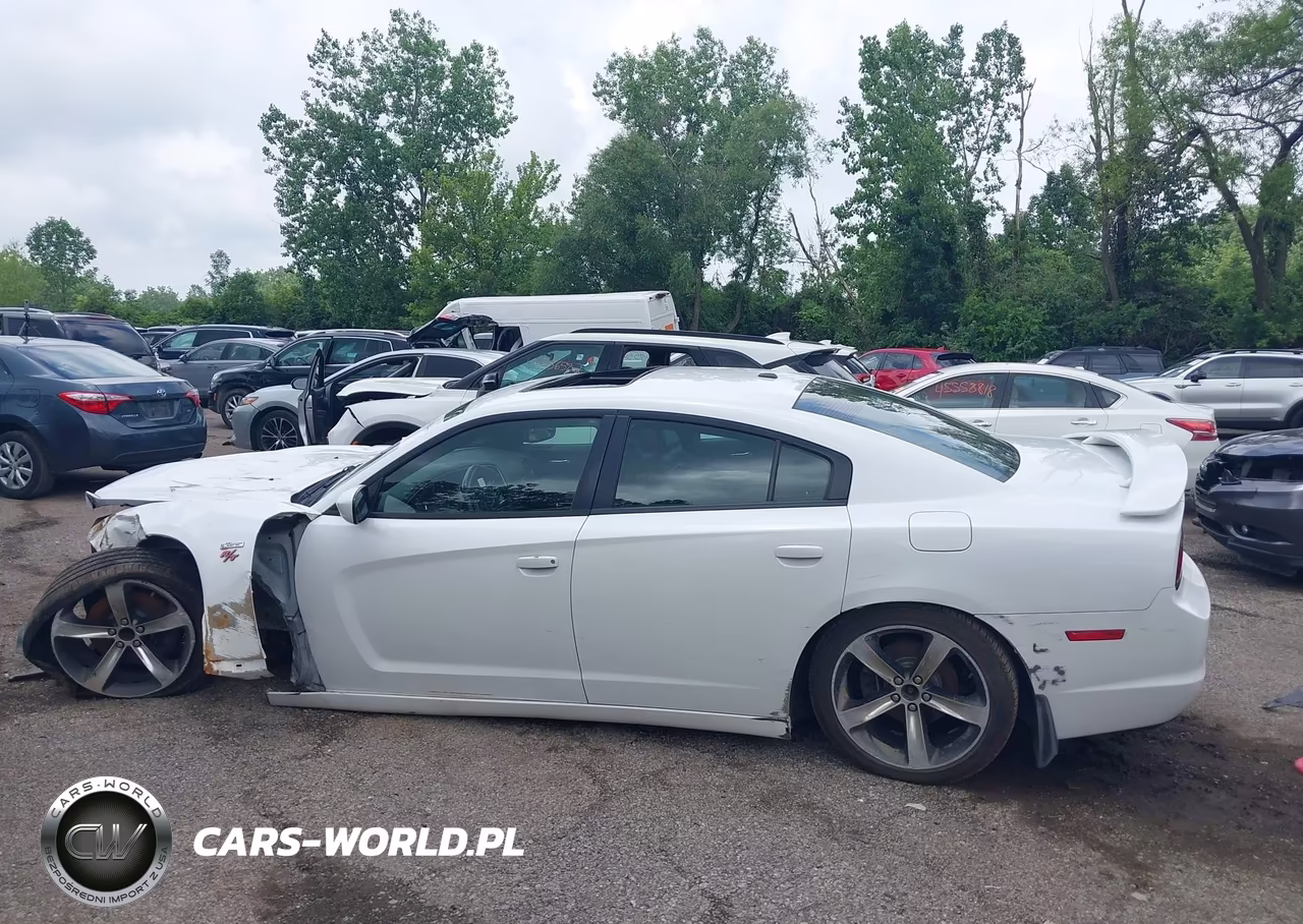 2014 Dodge Charger R-T 100Th Anniversary VIN:2C3CDXCT0EH321916 - 14