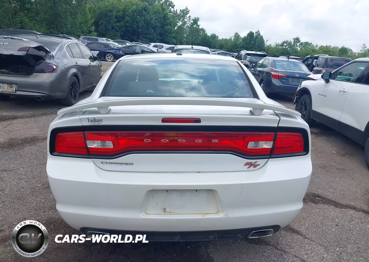 2014 Dodge Charger R-T 100Th Anniversary VIN:2C3CDXCT0EH321916 - 16