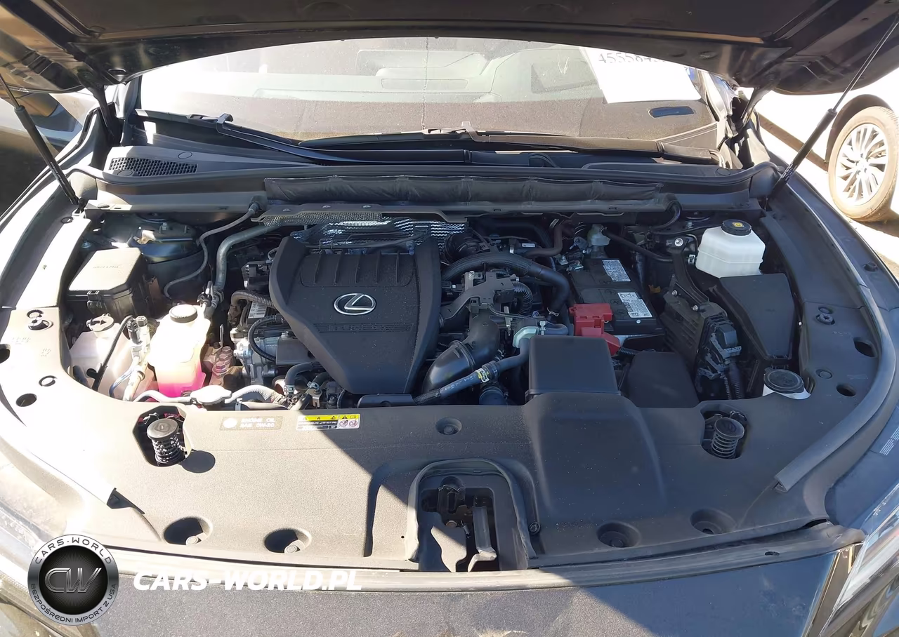 2024 Lexus Rx 350 Premium Plus VIN:2T2BAMBA5RC032377 - 10
