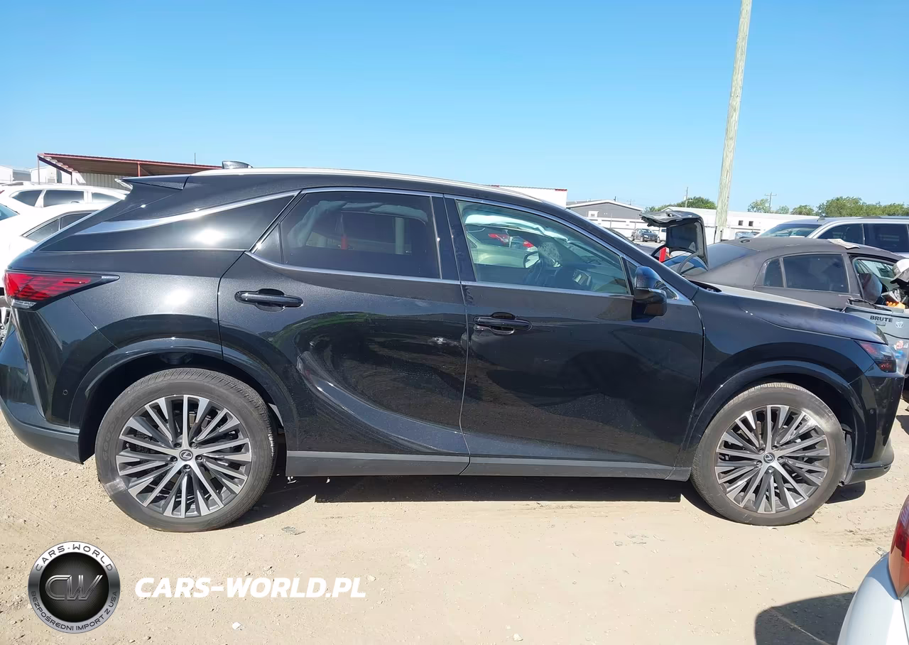 2024 Lexus Rx 350 Premium Plus VIN:2T2BAMBA5RC032377 - 13