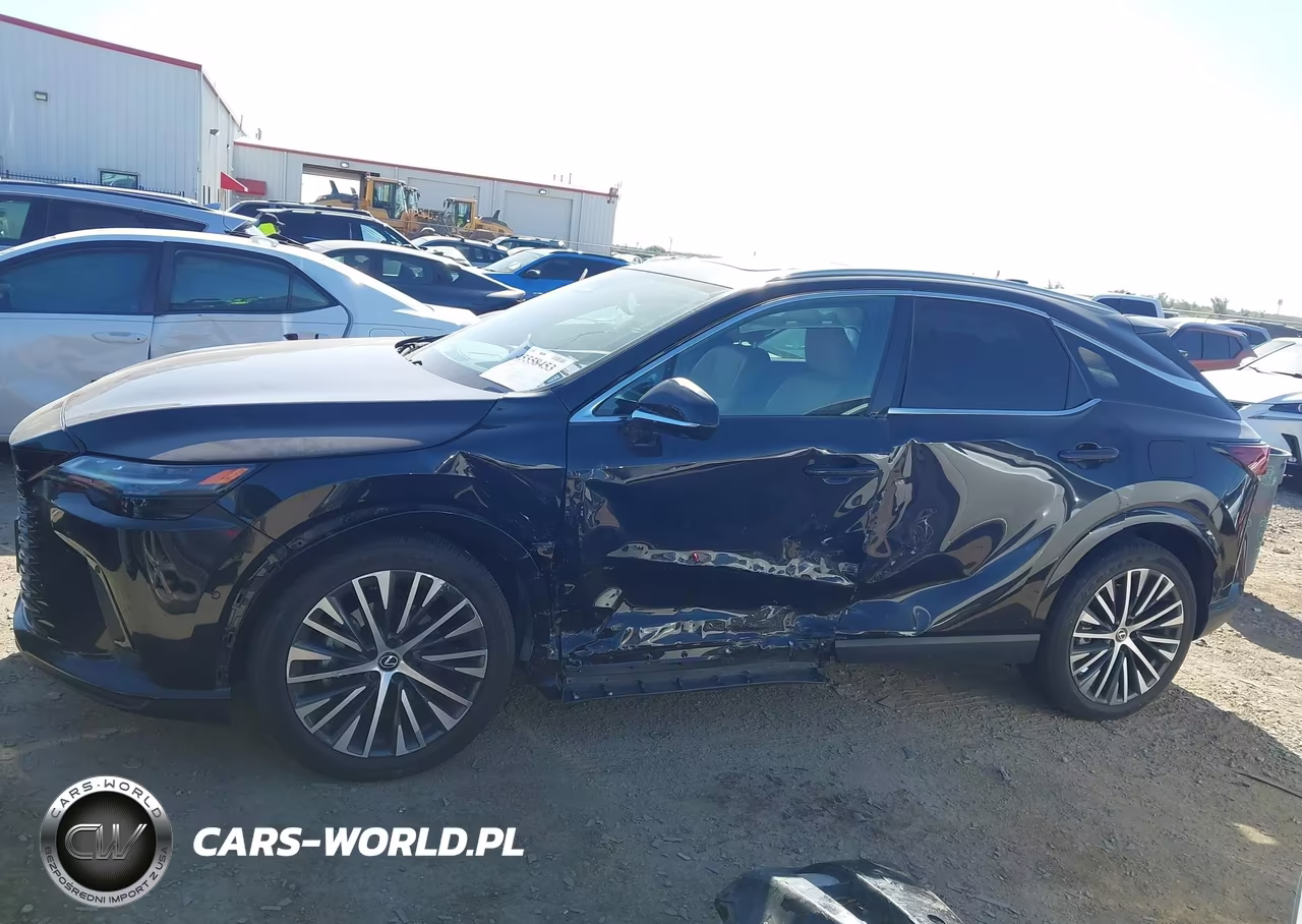 2024 Lexus Rx 350 Premium Plus VIN:2T2BAMBA5RC032377 - 14
