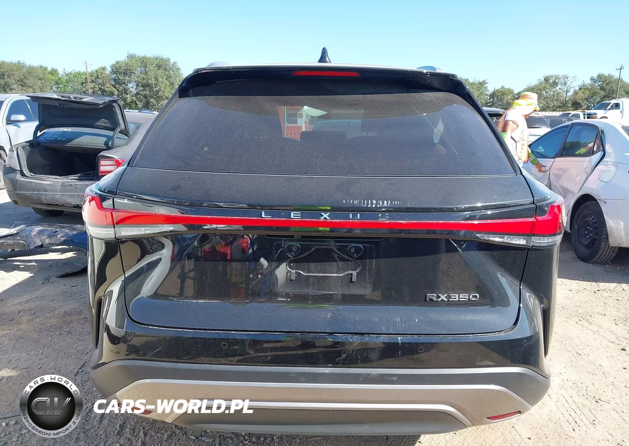 2024 Lexus Rx 350 Premium Plus VIN:2T2BAMBA5RC032377 - 16