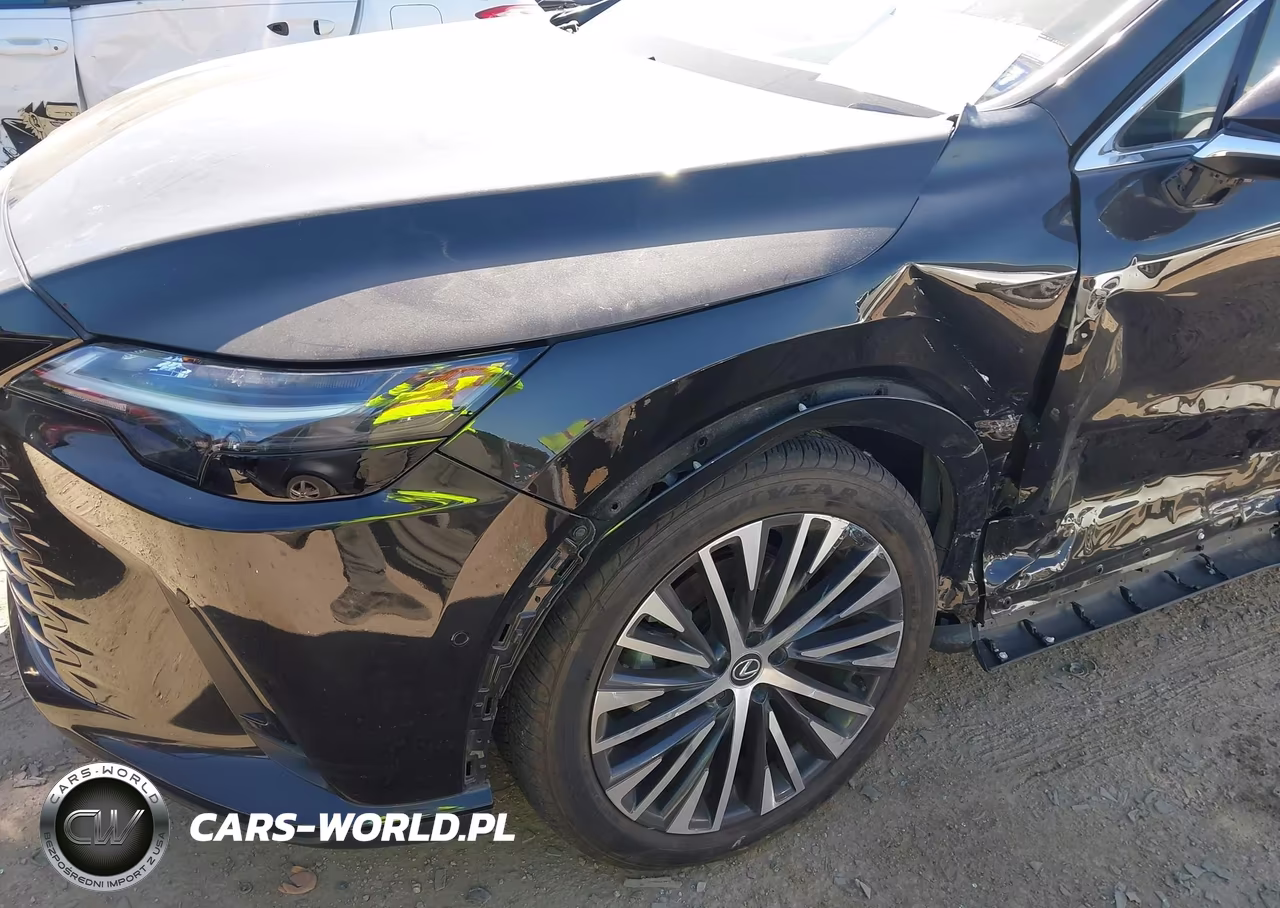 2024 Lexus Rx 350 Premium Plus VIN:2T2BAMBA5RC032377 - 18