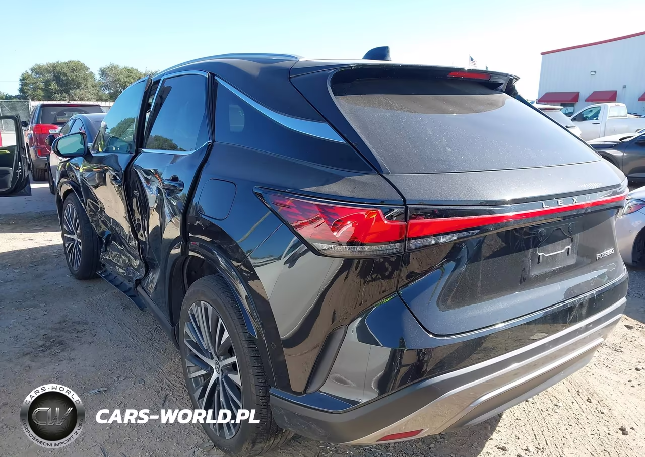 2024 Lexus Rx 350 Premium Plus VIN:2T2BAMBA5RC032377 - 3