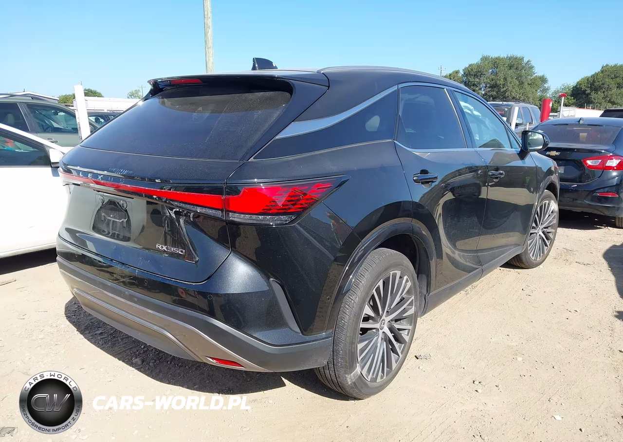 2024 Lexus Rx 350 Premium Plus VIN:2T2BAMBA5RC032377 - 4