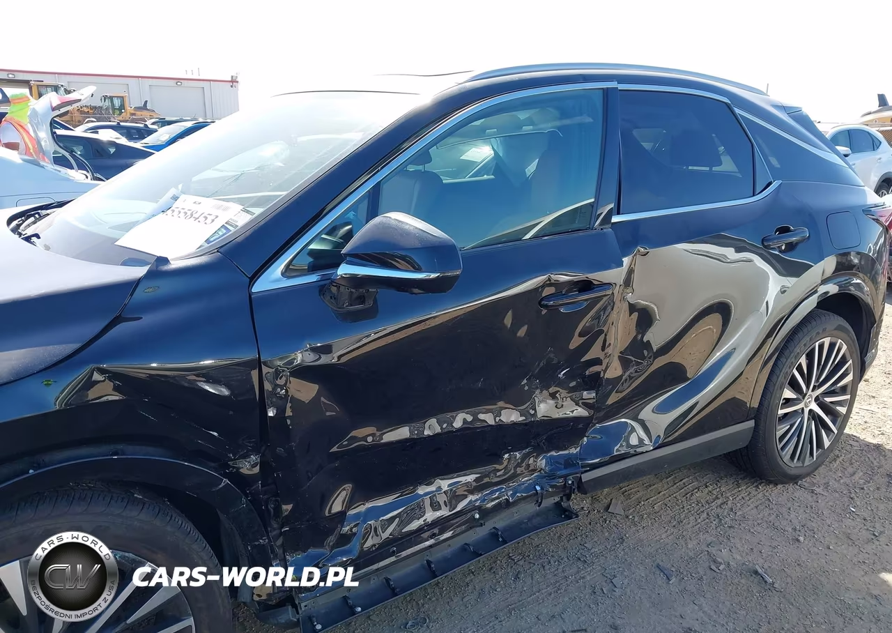 2024 Lexus Rx 350 Premium Plus VIN:2T2BAMBA5RC032377 - 6