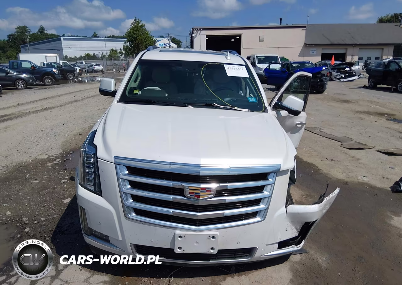 2017 Cadillac Escalade Luxury VIN:1GYS4BKJ8HR291119 - 13