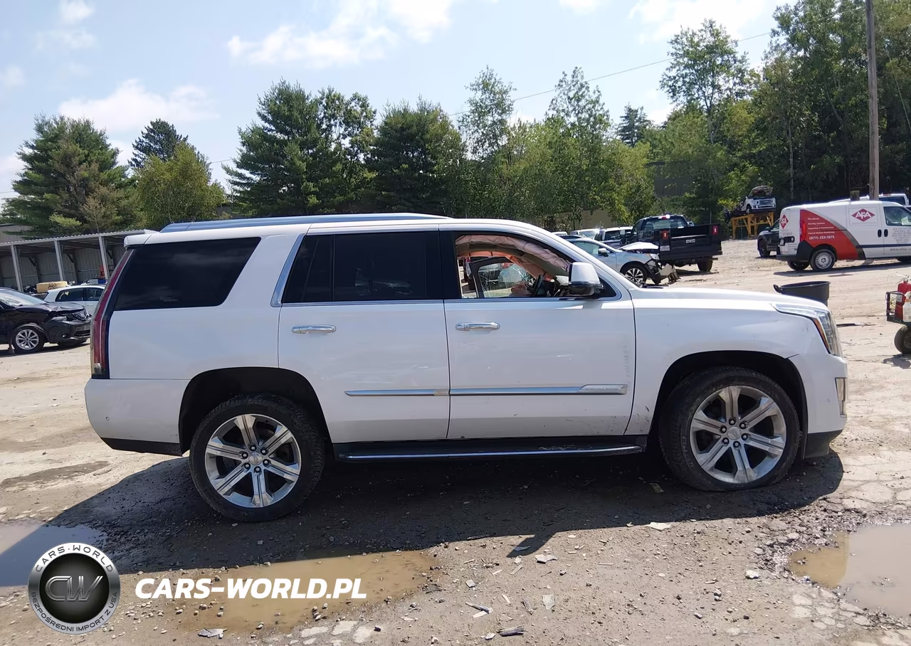 2017 Cadillac Escalade Luxury VIN:1GYS4BKJ8HR291119 - 14