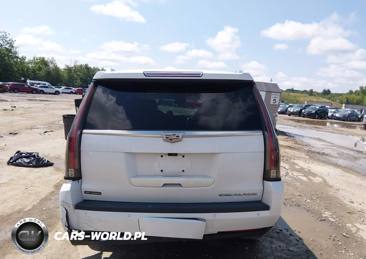 2017 Cadillac Escalade Luxury VIN:1GYS4BKJ8HR291119 - 17