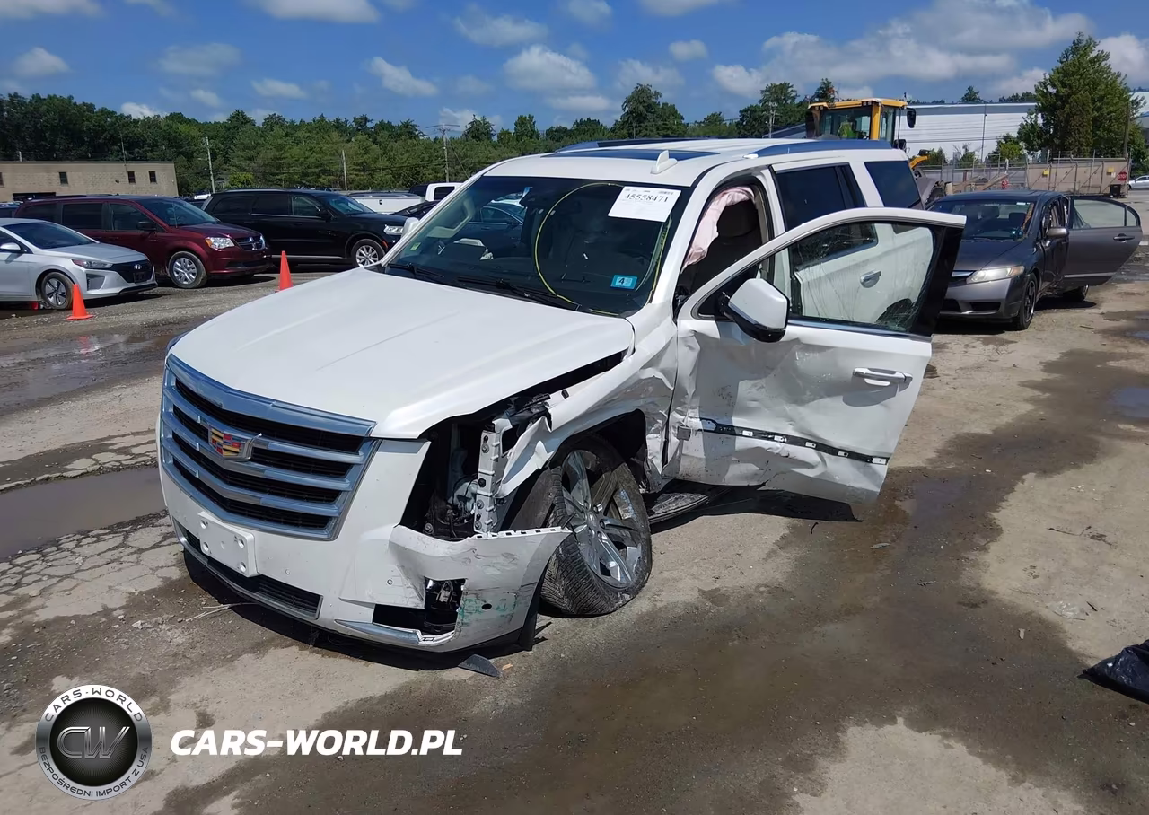 2017 Cadillac Escalade Luxury VIN:1GYS4BKJ8HR291119 - 2