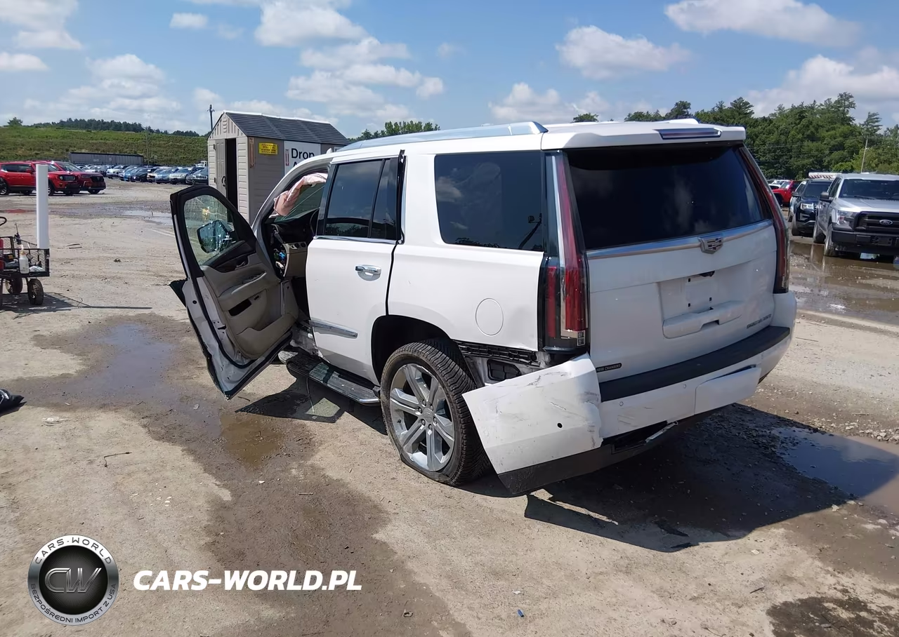 2017 Cadillac Escalade Luxury VIN:1GYS4BKJ8HR291119 - 3