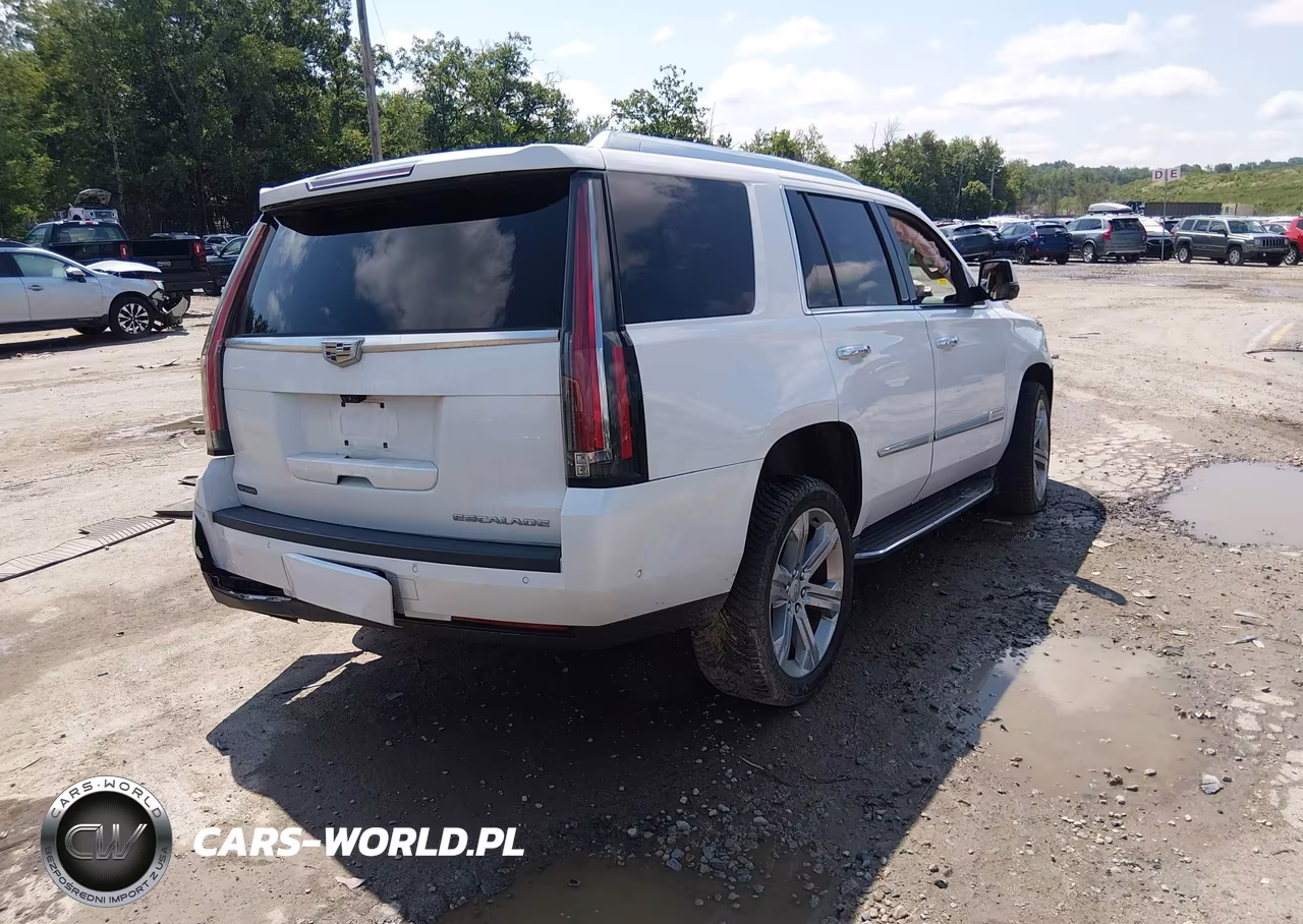 2017 Cadillac Escalade Luxury VIN:1GYS4BKJ8HR291119 - 4