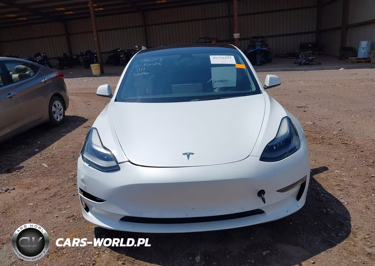 2022 Tesla Model 3 Rear-Wheel Drive VIN:5YJ3E1EA3NF207836 - 11