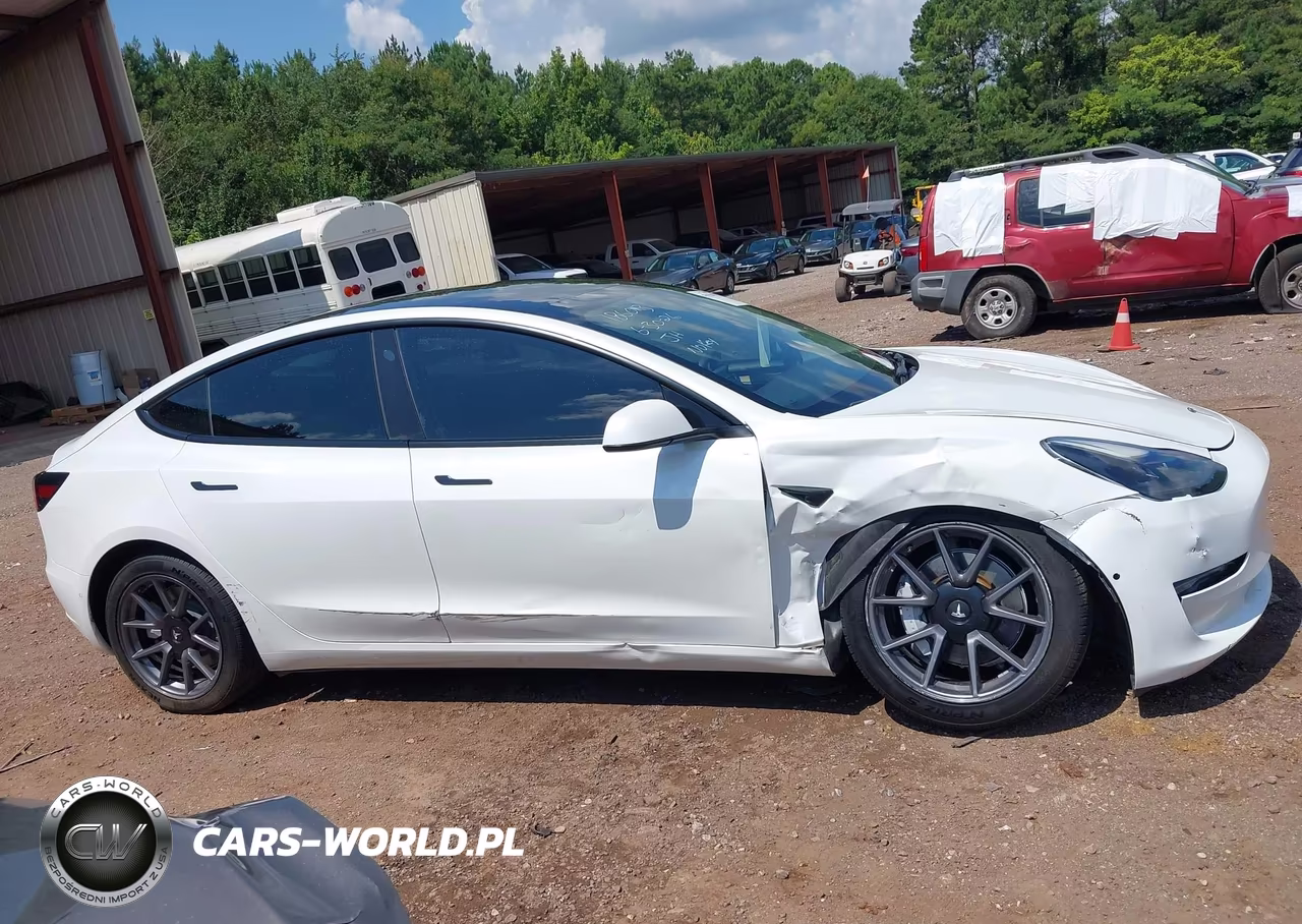2022 Tesla Model 3 Rear-Wheel Drive VIN:5YJ3E1EA3NF207836 - 12