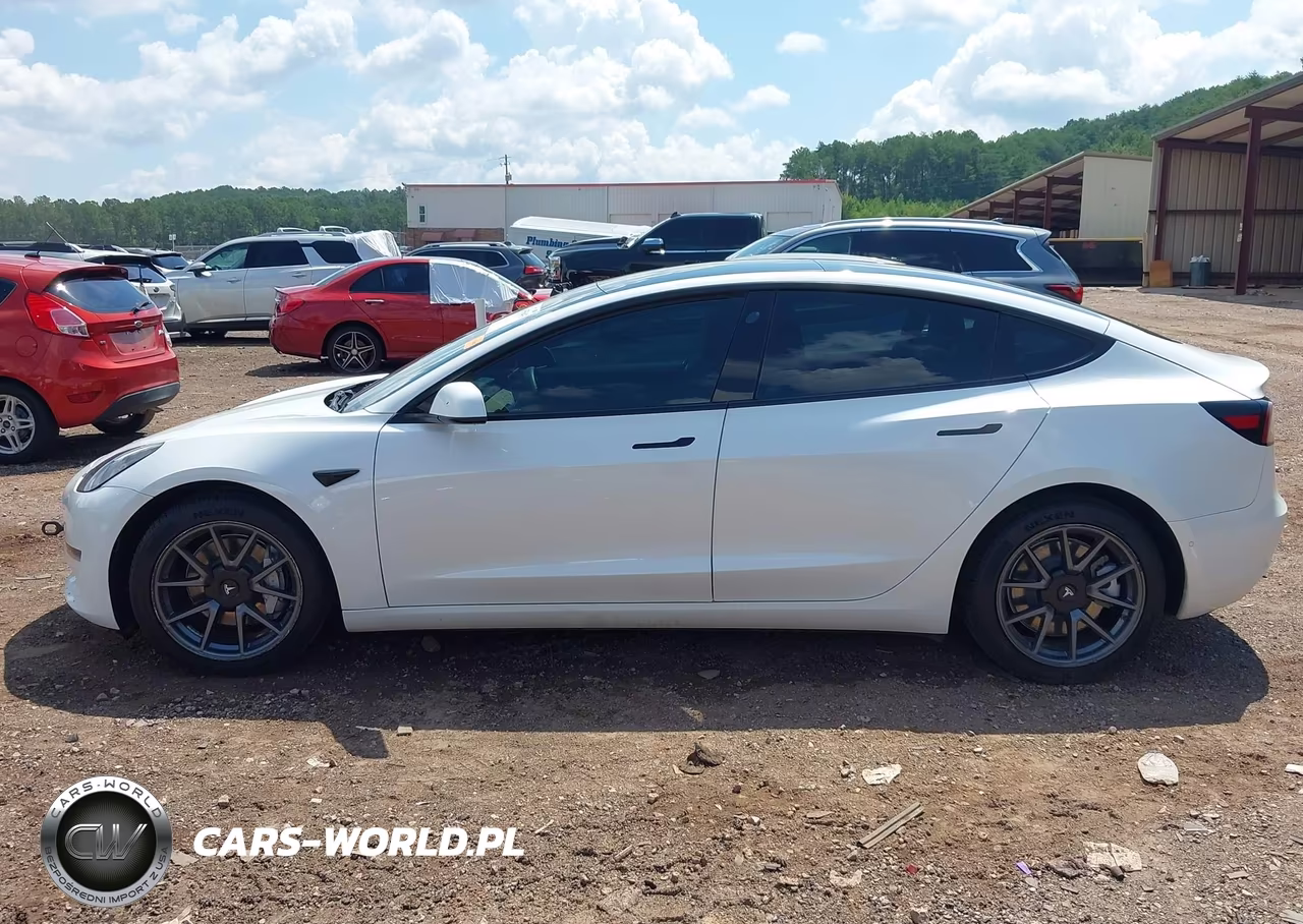 2022 Tesla Model 3 Rear-Wheel Drive VIN:5YJ3E1EA3NF207836 - 13