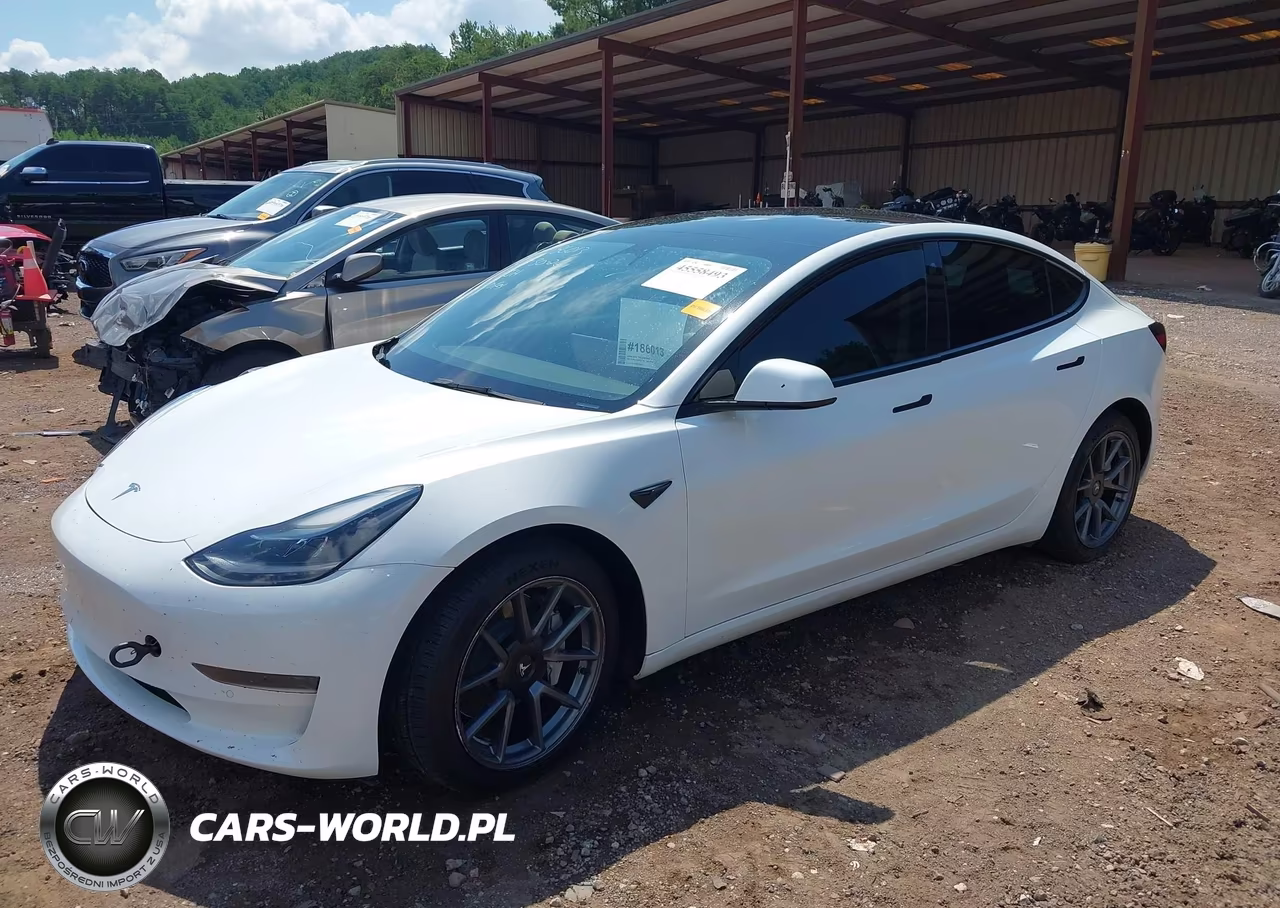 2022 Tesla Model 3 Rear-Wheel Drive VIN:5YJ3E1EA3NF207836 - 2
