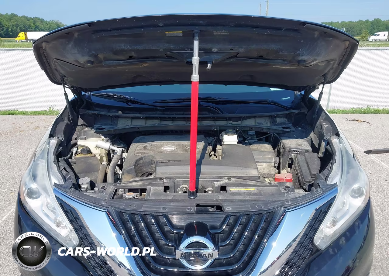 2015 Nissan Murano Sl VIN:5N1AZ2MH8FN204719 - 10