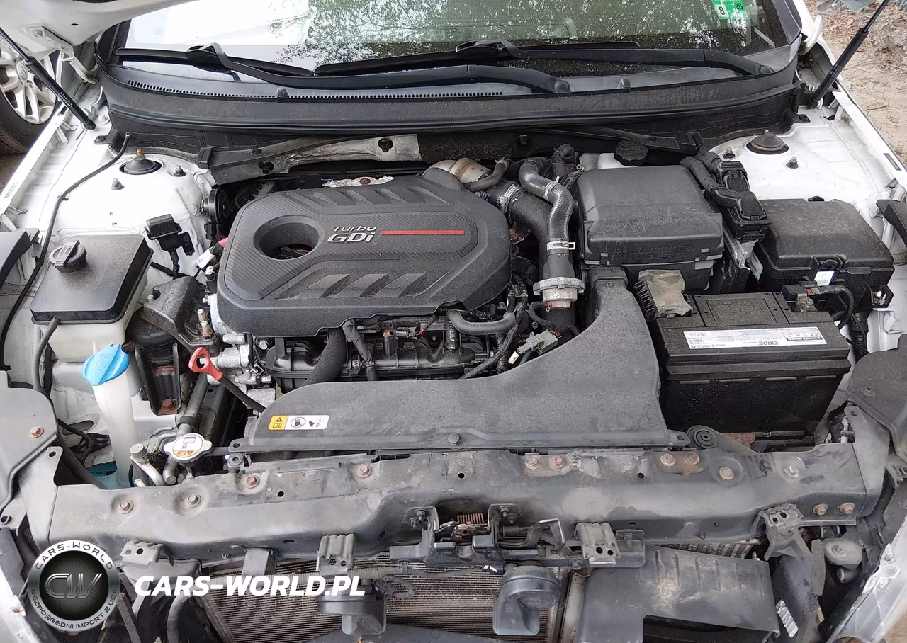 2017 Hyundai Sonata Sport 2.0T VIN:5NPE34AB5HH457518 - 10