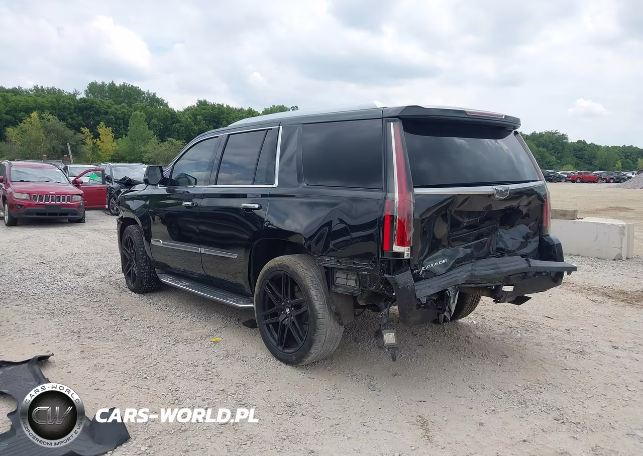 2016 Cadillac Escalade Luxury Collection VIN:1GYS4BKJ7GR257252 - 3