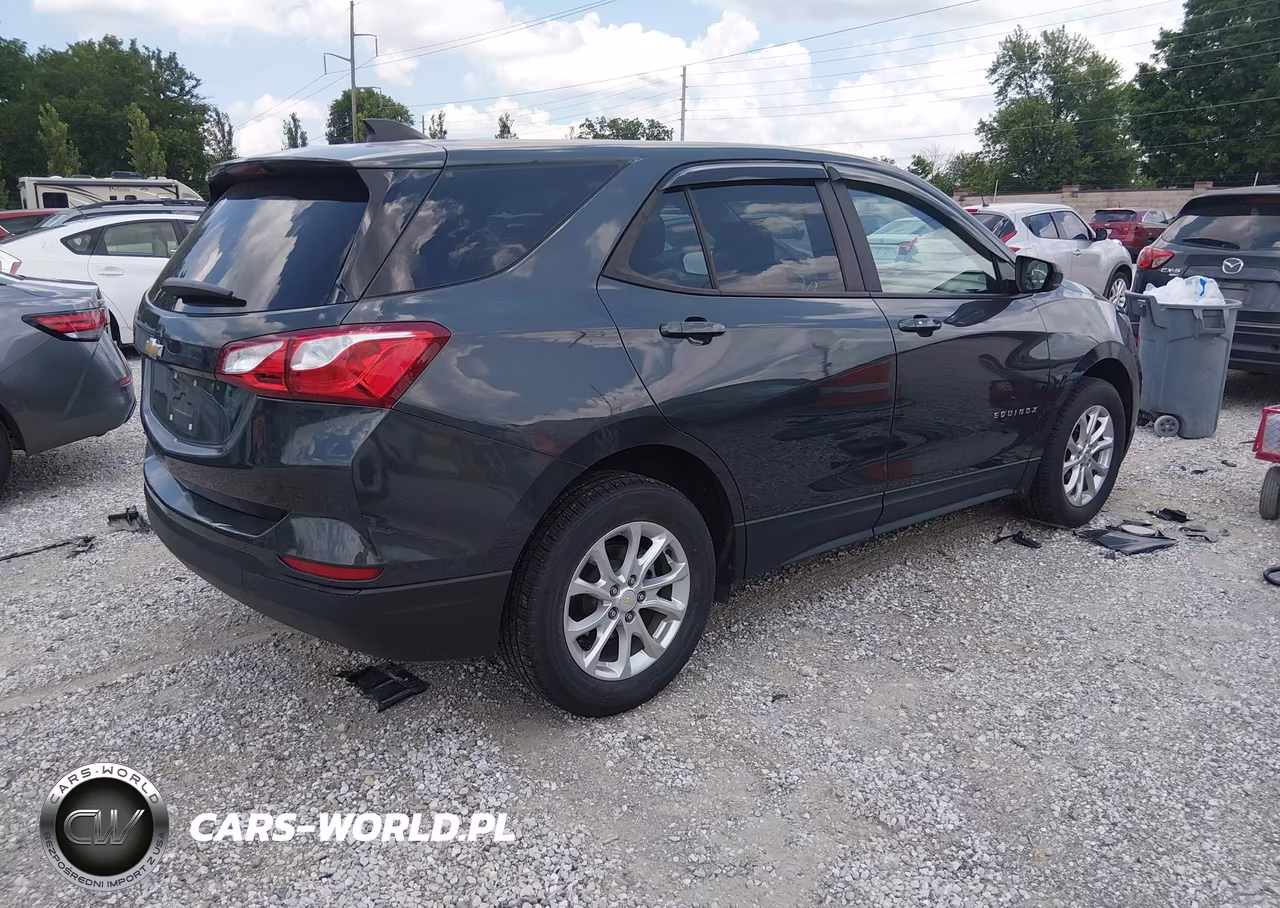 2020 Chevrolet Equinox Fwd Ls VIN:2GNAXHEV8L6263889 - 4