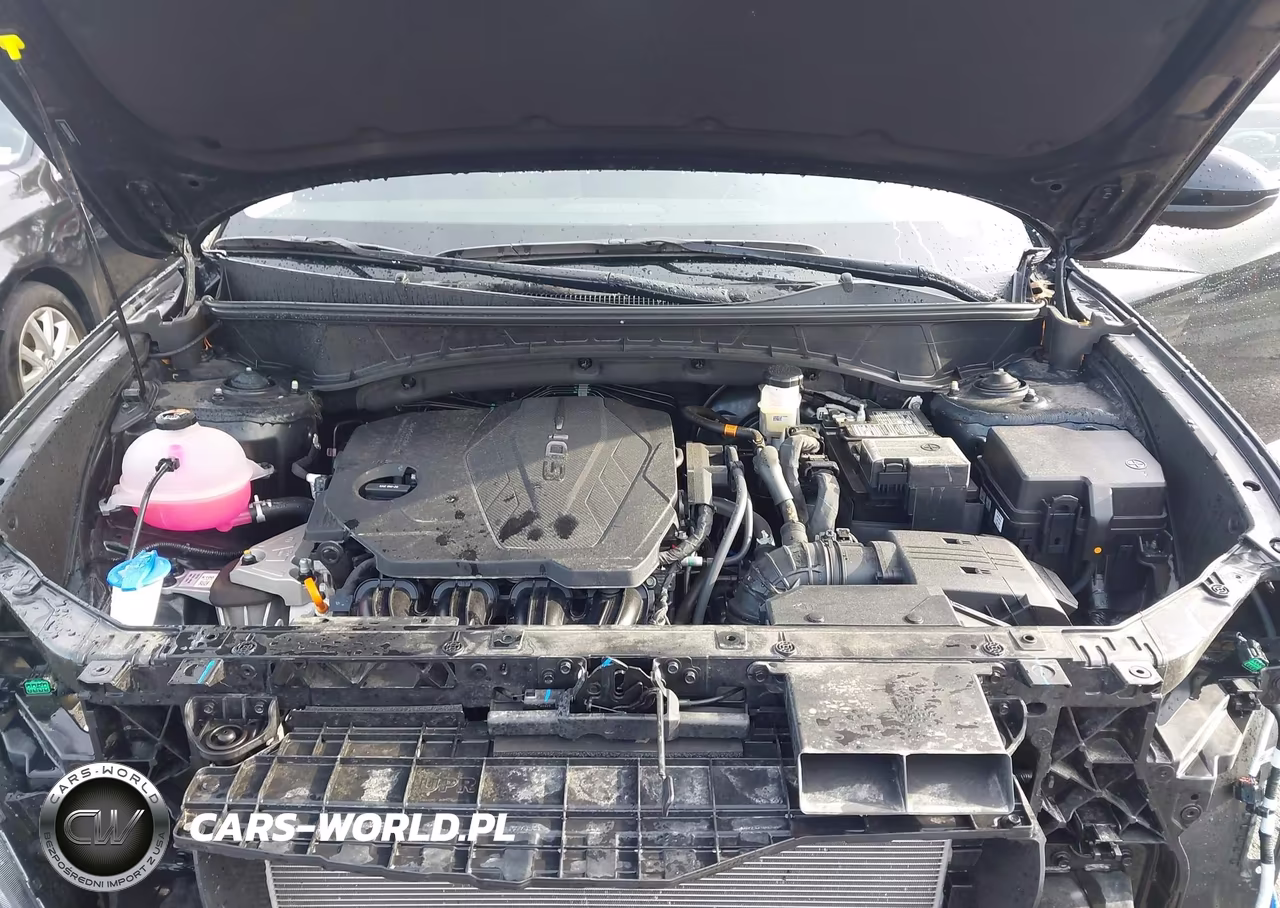 2024 Hyundai Tucson Sel VIN:5NMJB3DE3RH406356 - 10