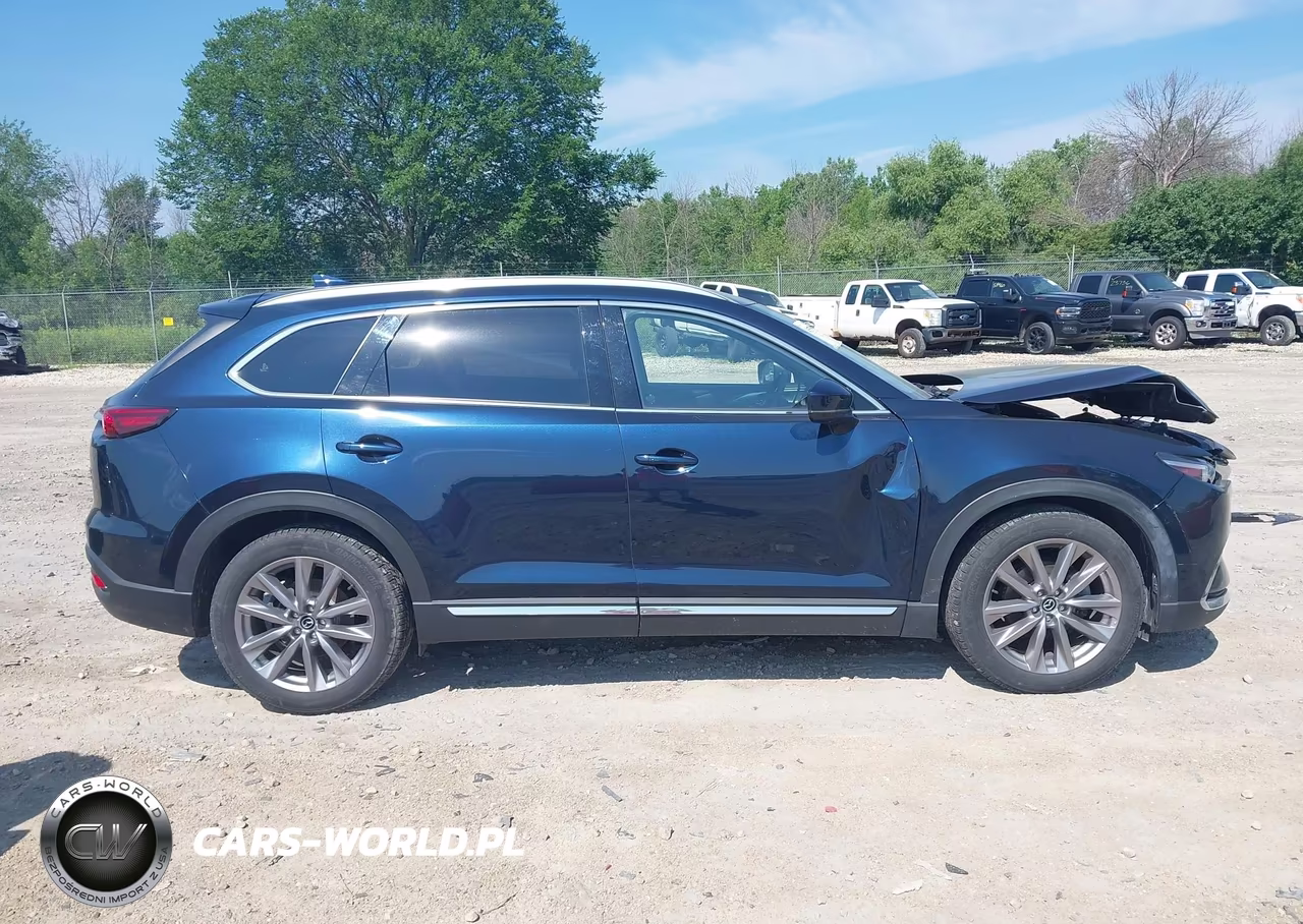 2020 Mazda Cx-9 Grand Touring VIN:JM3TCBDY0L0404928 - 14