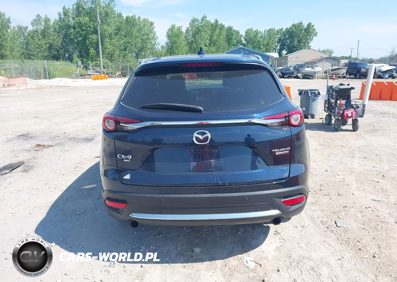 2020 Mazda Cx-9 Grand Touring VIN:JM3TCBDY0L0404928 - 17