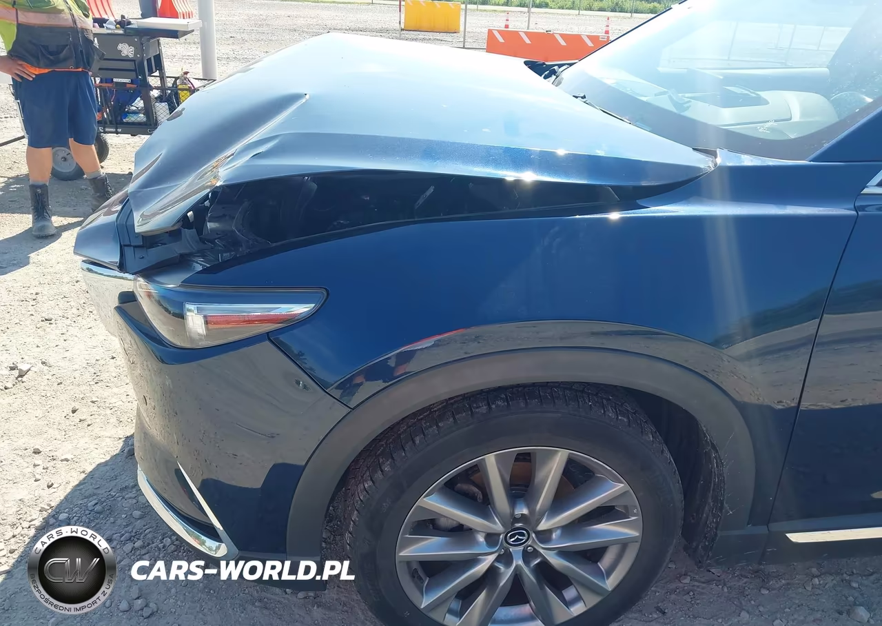 2020 Mazda Cx-9 Grand Touring VIN:JM3TCBDY0L0404928 - 19