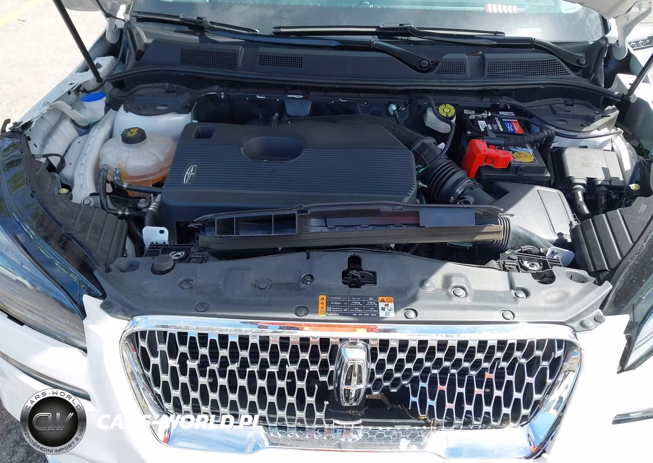 2020 Lincoln Corsair Standard VIN:5LMCJ1C99LUL24189 - 10