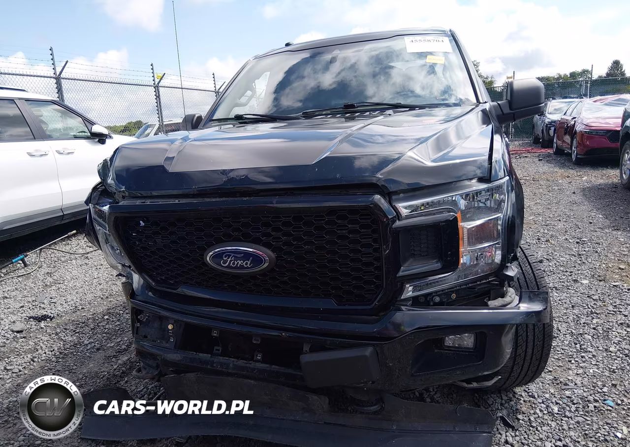 2019 Ford F-150 Xl VIN:1FTEW1E53KFC01325 - 12