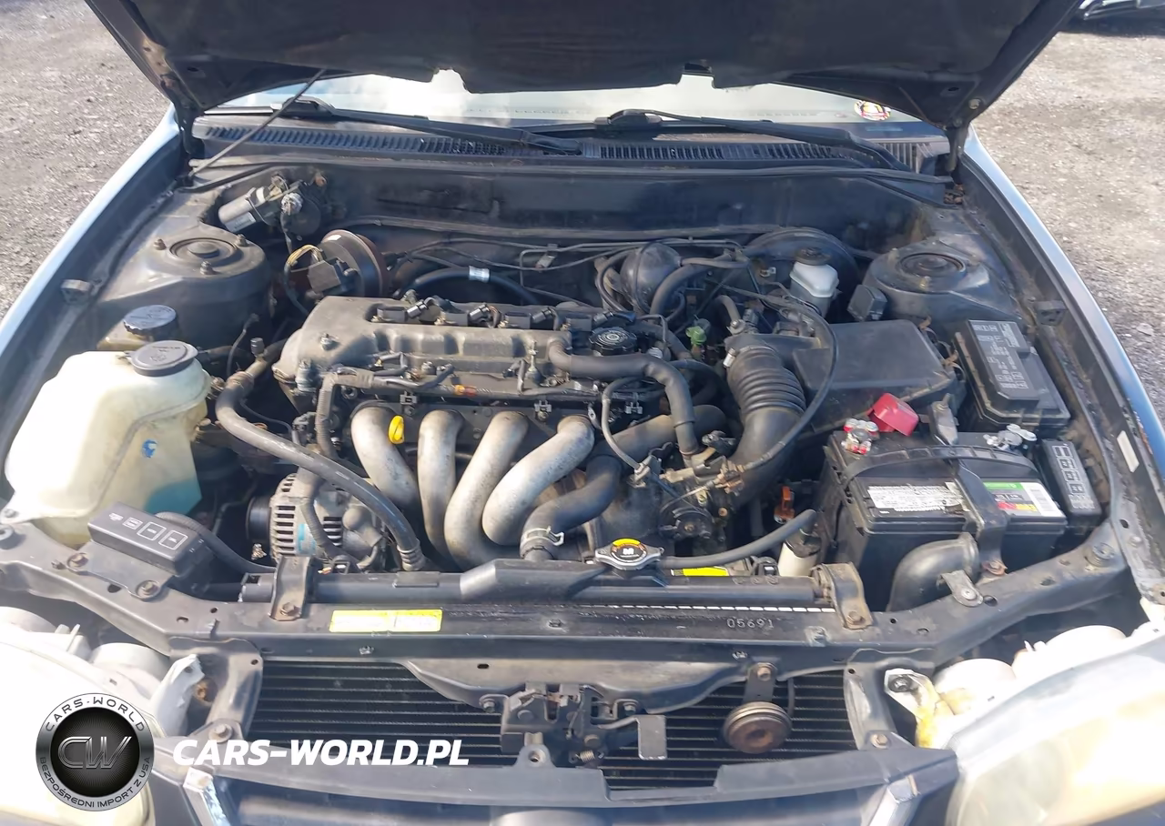 2001 Toyota Corolla Ce VIN:1NXBR12E01Z421753 - 10