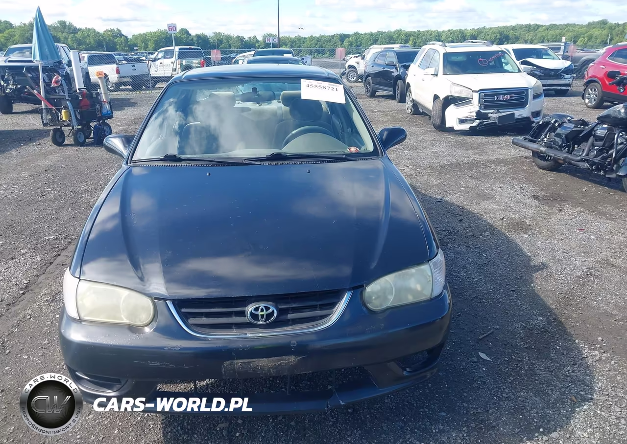 2001 Toyota Corolla Ce VIN:1NXBR12E01Z421753 - 12