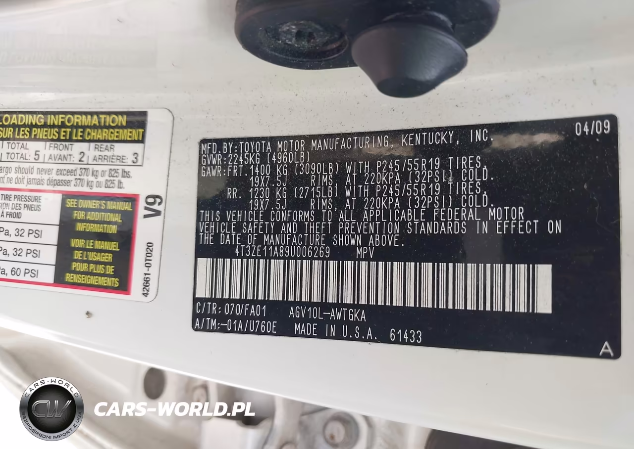 2009 Toyota Venza VIN:4T3ZE11A89U006269 - 8