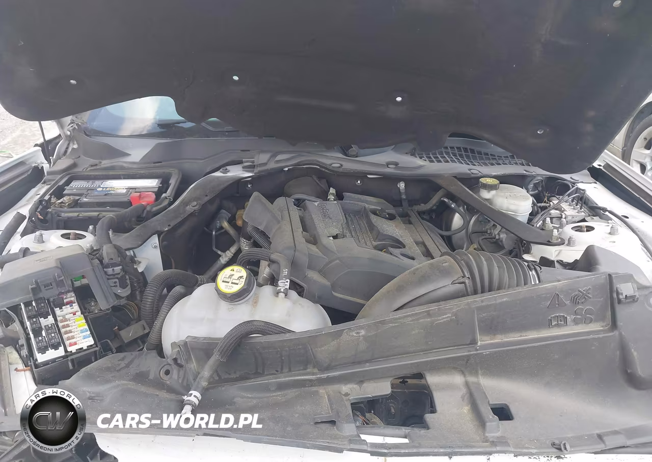 2018 Ford Mustang Ecoboost-Ecoboost Premium VIN:1FATP8UH7J5138684 - 10