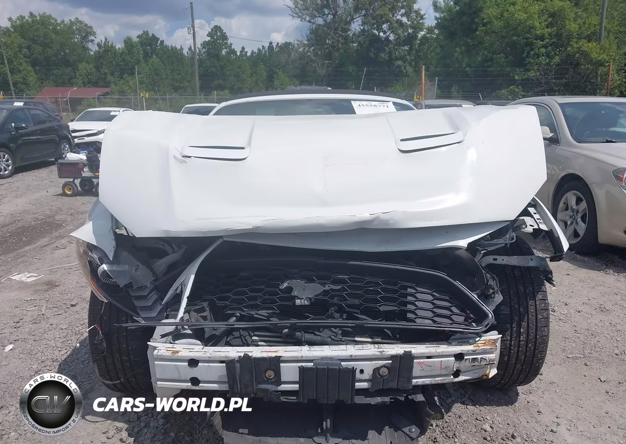 2018 Ford Mustang Ecoboost-Ecoboost Premium VIN:1FATP8UH7J5138684 - 12