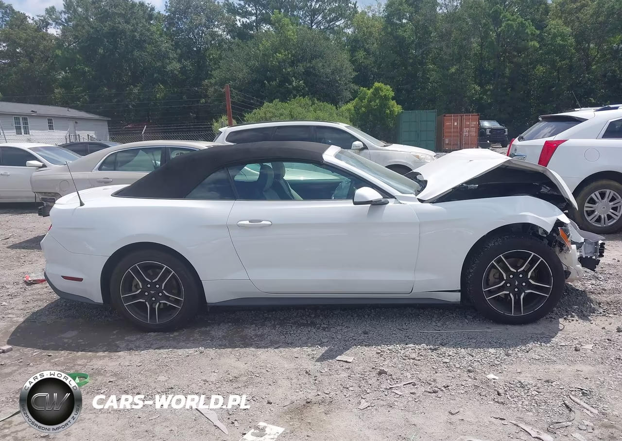 2018 Ford Mustang Ecoboost-Ecoboost Premium VIN:1FATP8UH7J5138684 - 13