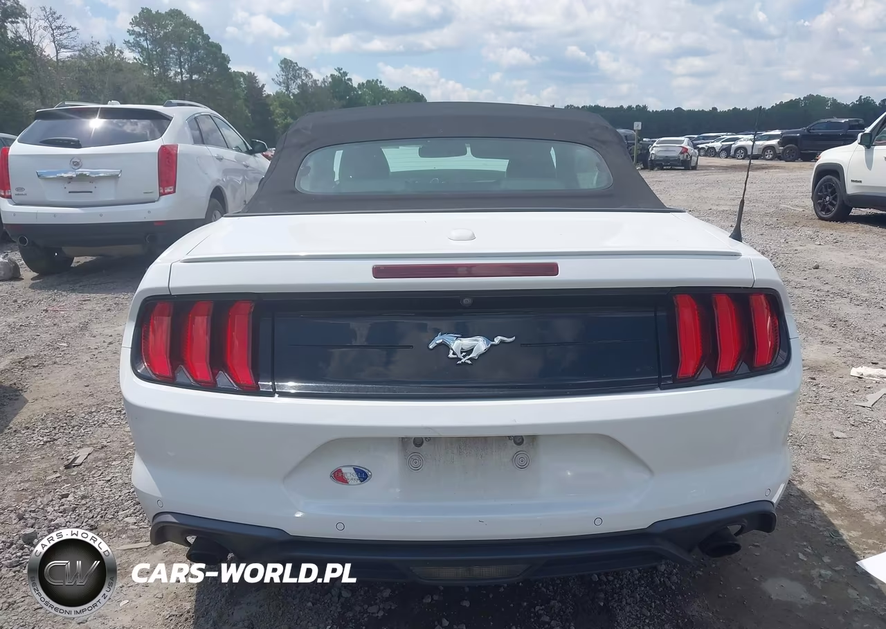 2018 Ford Mustang Ecoboost-Ecoboost Premium VIN:1FATP8UH7J5138684 - 16