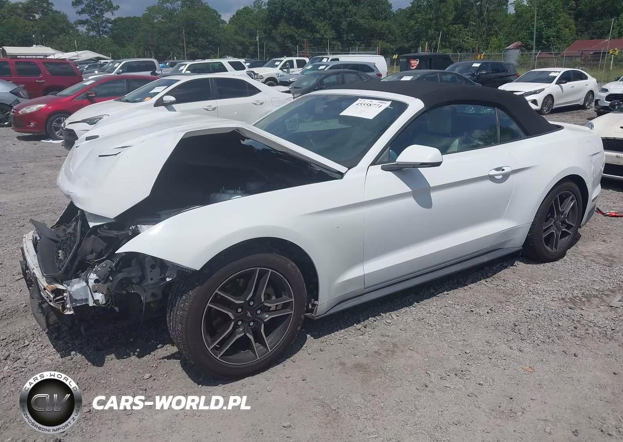 2018 Ford Mustang Ecoboost-Ecoboost Premium VIN:1FATP8UH7J5138684 - 2