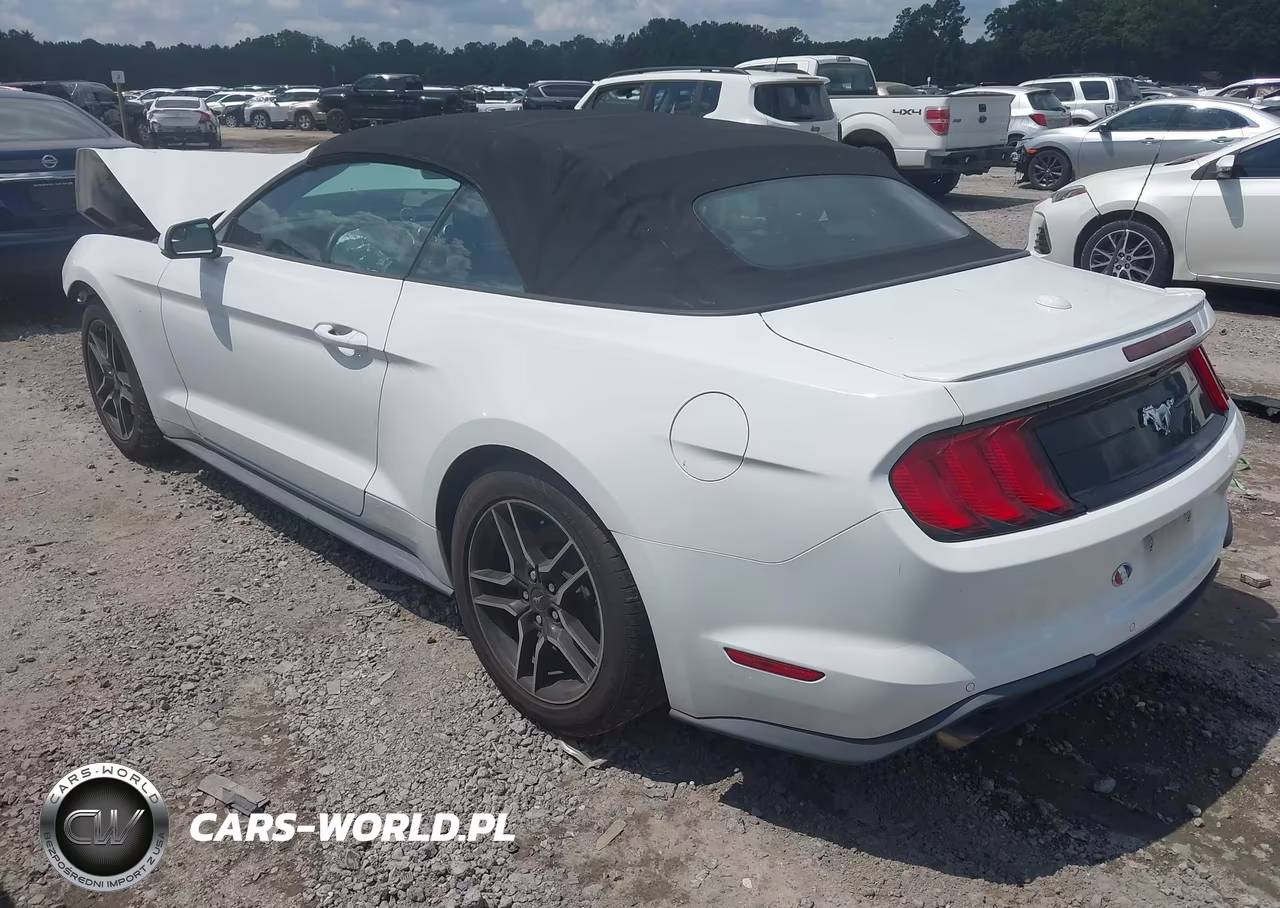 2018 Ford Mustang Ecoboost-Ecoboost Premium VIN:1FATP8UH7J5138684 - 3