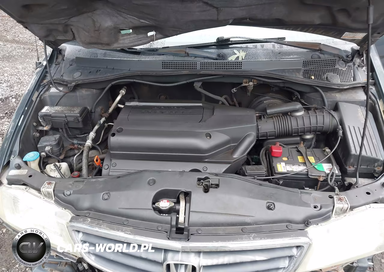 2003 Honda Odyssey Ex VIN:5FNRL18643B021582 - 10